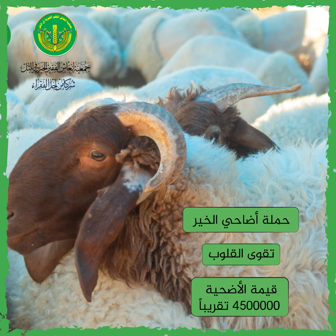 حالة تبرع- حملة أضاحي الخير 💚