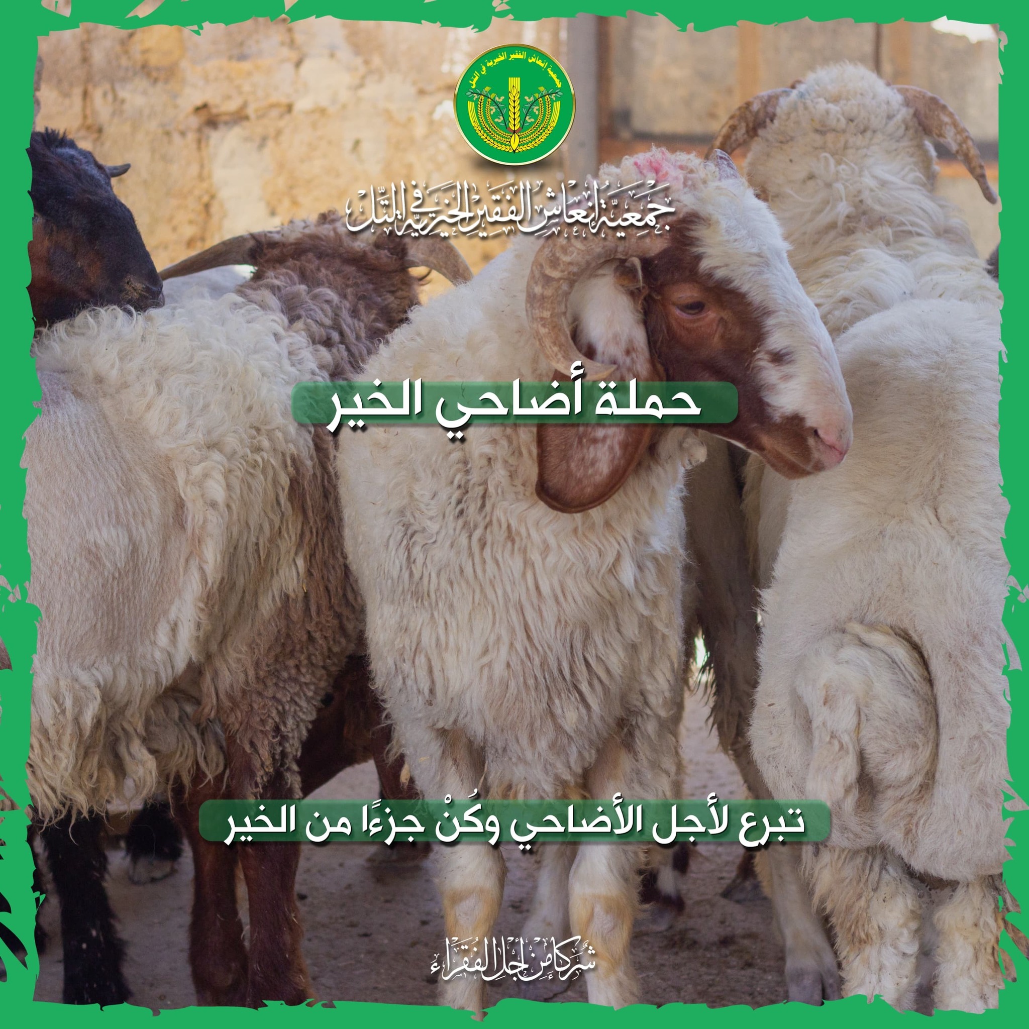 حالة تبرع- حملة "أضاحي الخير" ✨💚